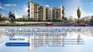 The Rise of Boutique Residences: Inside Auricas’ Vision for Sophisticated Living